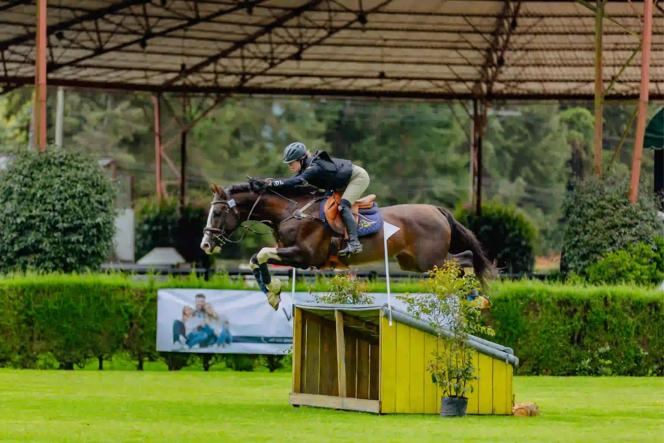 Hipica-Actividades